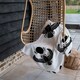 image 4 of Scarab Silhouette Blanket | Multi