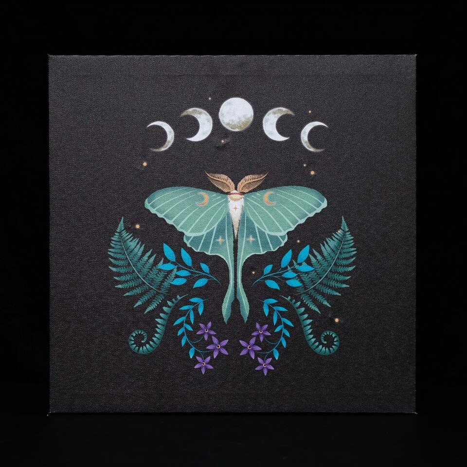 image 1 of Something Different Canvas Luna Moth Light Up Canvas - Black/Blue/White - One Size