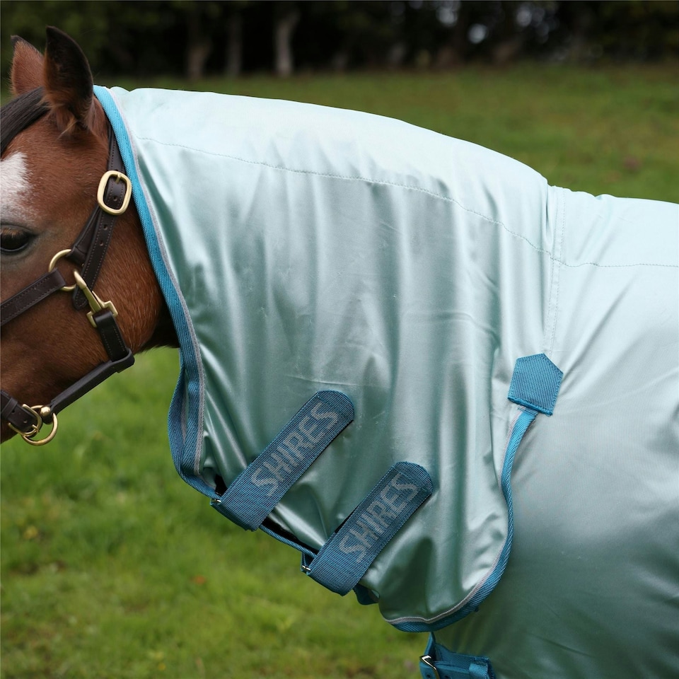 image 1 of Winnie & Me Fly Combo Rug Blue | Size: 63 Inch / 5'3 Inch
Colour: Blue