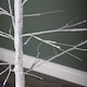 image 9 of 1.8m (6ft) Outdoor Christmas Light Up White Birch Tree with 80 Multicoloured LEDs