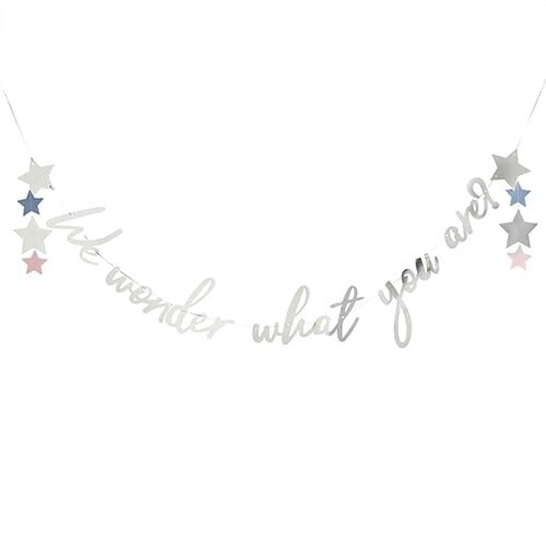 Silver We Wonder What You Are Gender Reveal Foil Cardboard Letter Banner 200cm