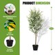 image 2 of Artificial 210cm Olive Tree Fake Plant with 64 Olives, Pot for Indoor Décor 7ft