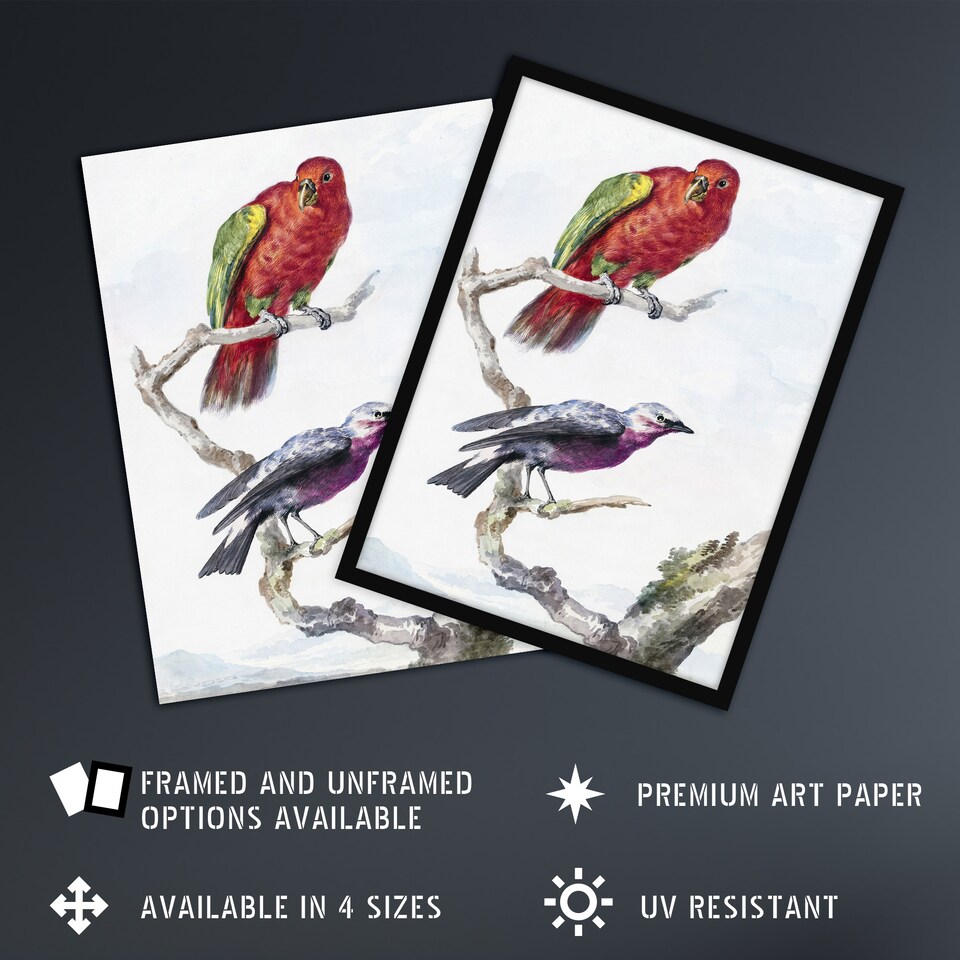 image 1 of Red Green Parrot and Bird Watercolour Schouman Huge Wall Art Print 18X24 In