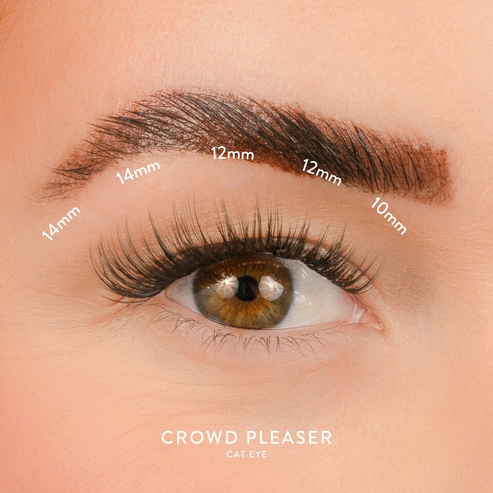 image 1 of House Of Amor - Eyelash Extensions - Crowd Pleaser Length - Volume D Curl - Short