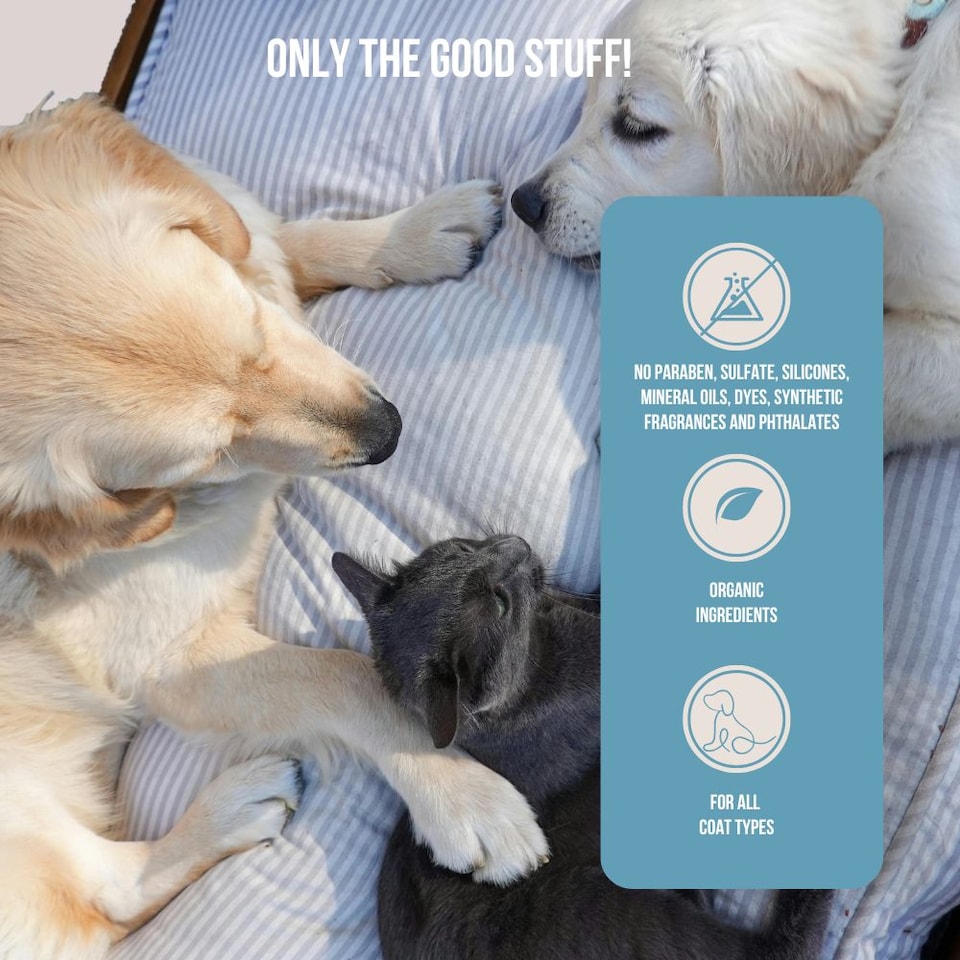 image 1 of Tails of Glory Organic Botanical Dog Balm