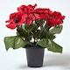 image 1 of Homescapes Artificial Red Poppy Flower Arrangement in Grave Pot
