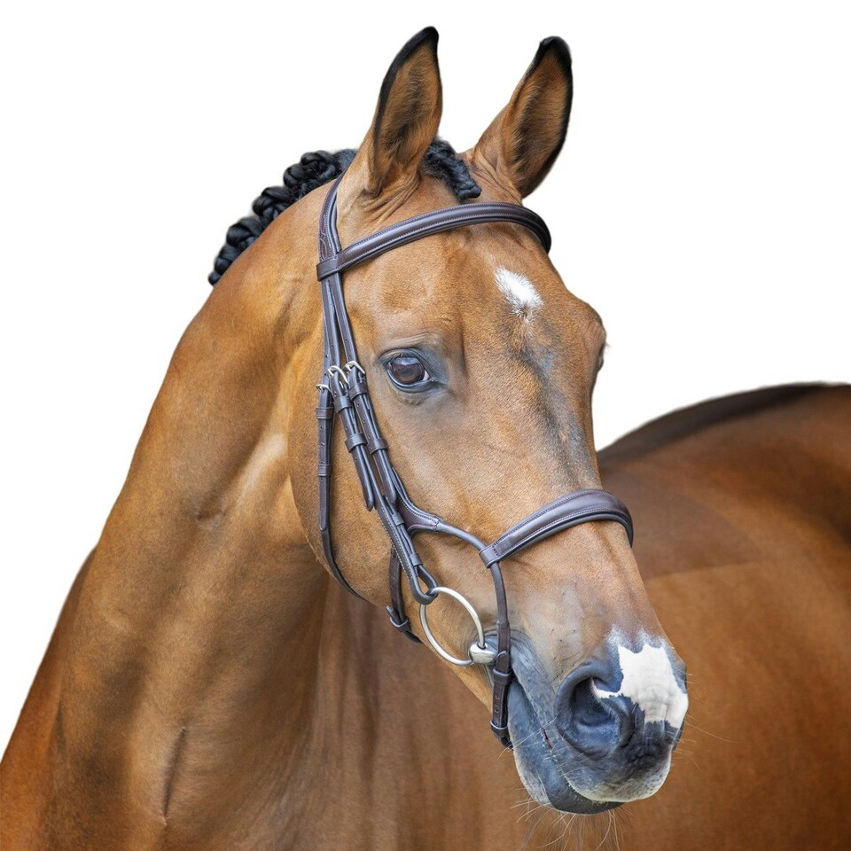 Velociti Lusso Hunter Leather Horse Cavesson Bridle - Havana - Full