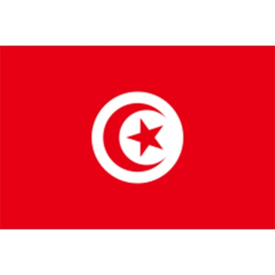 Tunisia Flag - 5 x 3 ft