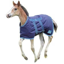 Shires Tempest Original Foal Turnout Rug - Navy/Turquoise - 3´ 6"