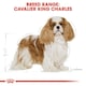 image 7 of Royal Canin Dog Cavalier King Charles Adult 7.5KG