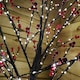 image 2 of 120cm 4ft Christmas Lit Black Twig Tree Red Berry 400 Warm White LED