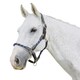 image 1 of Kincade Leather Rope Headcollar - Navy/Brown - Full