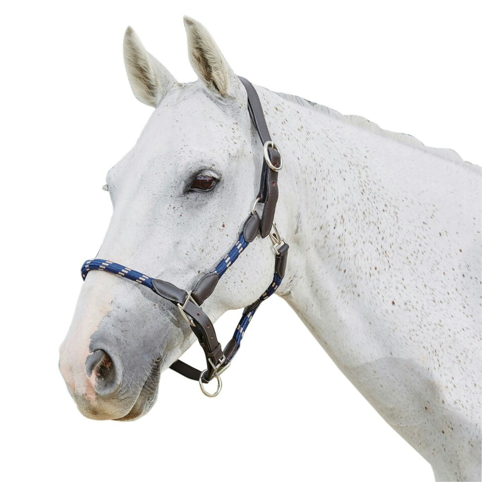 image 1 of Kincade Leather Rope Headcollar - Navy/Brown - Full