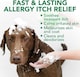 image 3 of Vet's Best Allergy Itch Relief Shampoo for Dogs 500ml