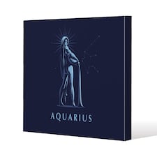Sign of the zodiac aquarius (canvas) / 46 x 46 x 4cm | Multi