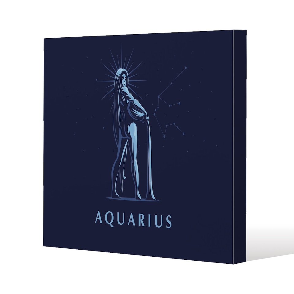 Sign of the zodiac aquarius (canvas) / 46 x 46 x 4cm | Multi