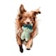 image 2 of Racoon Plush Dog Toy - White/Green - S