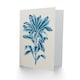image 2 of Calathea Plant Lover Blue Botanical Art Card