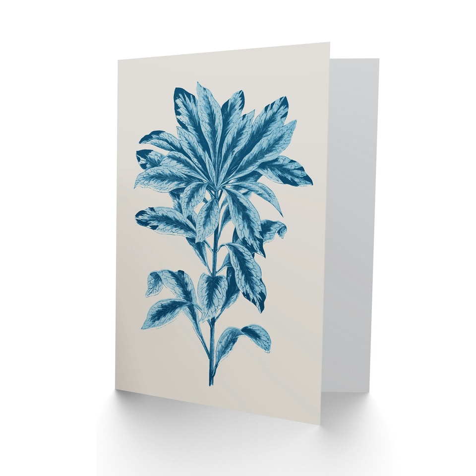 image 1 of Calathea Plant Lover Blue Botanical Art Card