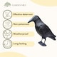 image 5 of Marco Paul Plastic Black Crow Scarer 36cm