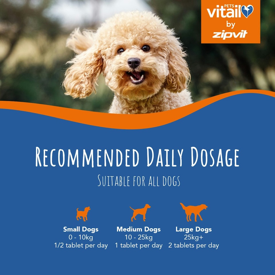 image 1 of Zipvit Green Lipped Mussel 500mg for Dogs – Joint & Coat Support, 120 Tablets