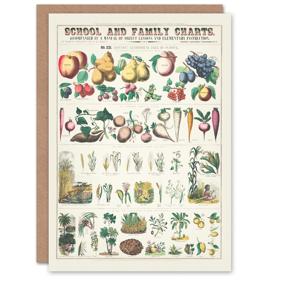 image 1 of Willson and Calkins Art Card School And Family Charts No XXI