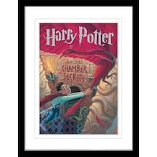 Harry Potter Book Cover (The Chamber Of Secrets) Framed 30x40cm Print with Printed Mount&nbsp;