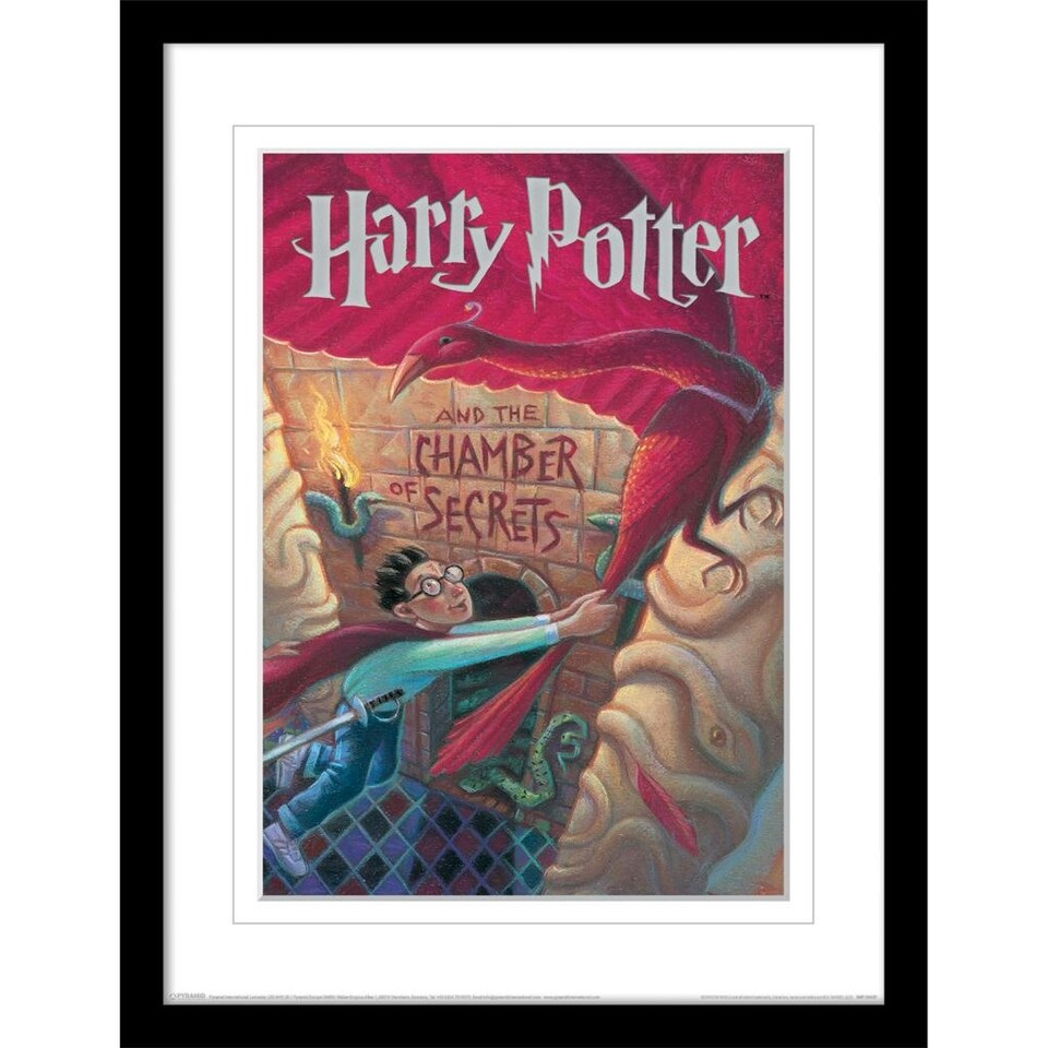 Harry Potter Book Cover (The Chamber Of Secrets) Framed 30x40cm Print with Printed Mount 