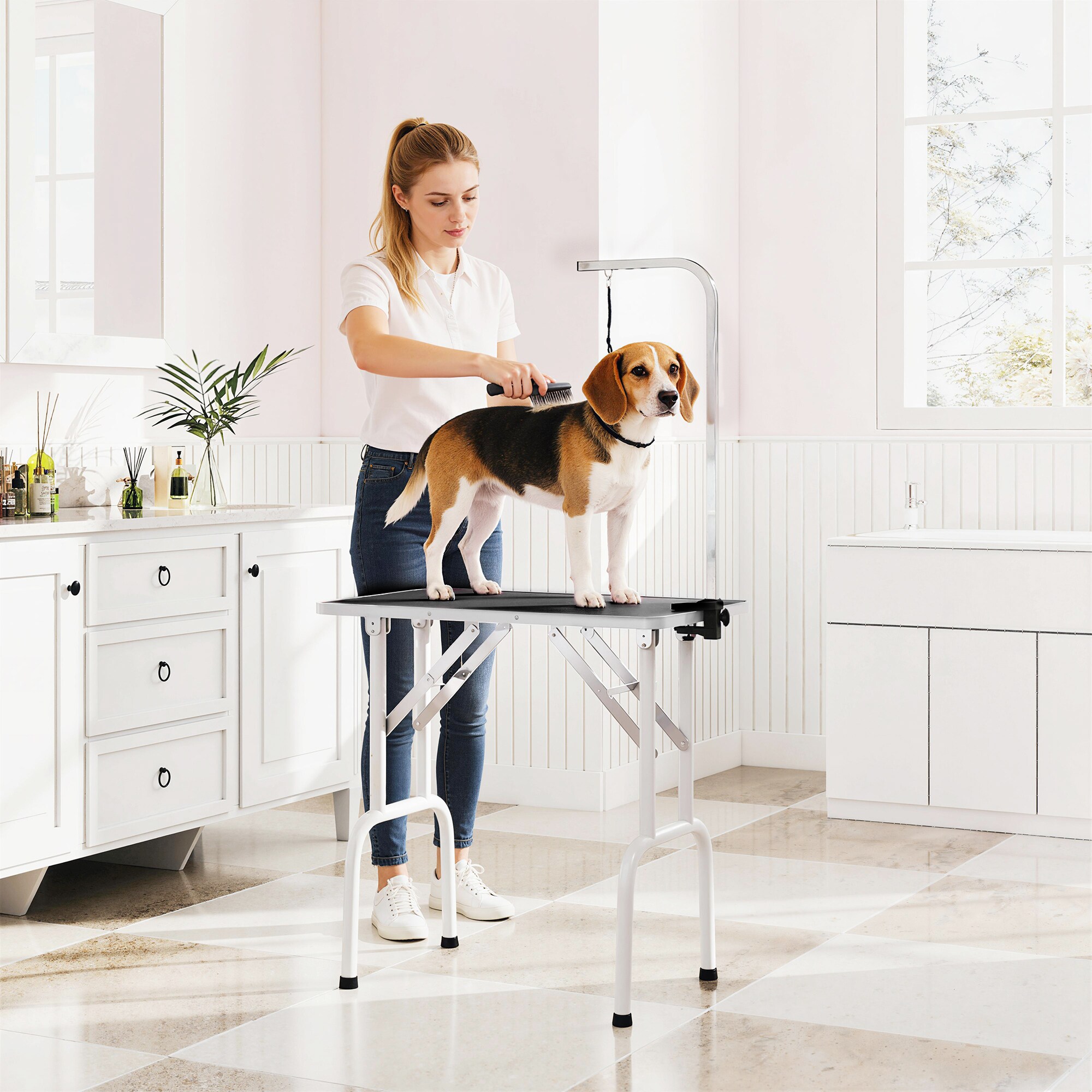 dog hotel da nang