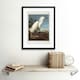 image 2 of Painting Bird Audubon Snowy Heron Egret 12x16" Framed Wall Art Print