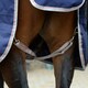 image 4 of Weatherbeeta Comfitec Essential Plus Detachable Neck Lite 50g Horse Rug - Navy/Silver/Red - 5´ 3"
