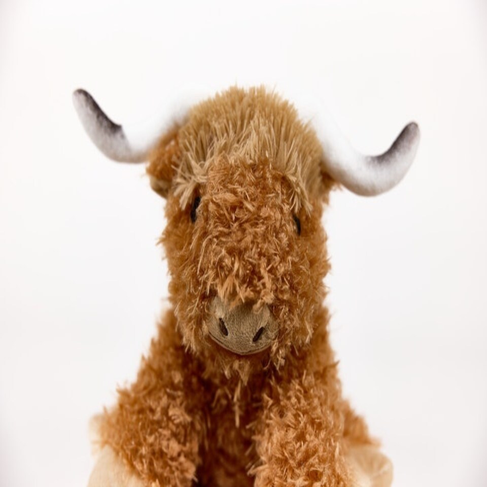 image 1 of Warmies Plush Highland Cow with Horns Microwavable LARGE