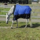image 4 of Rhinegold Phoenix Outdoor Rug N/A | Colour: Royal
Size: 5ft 6