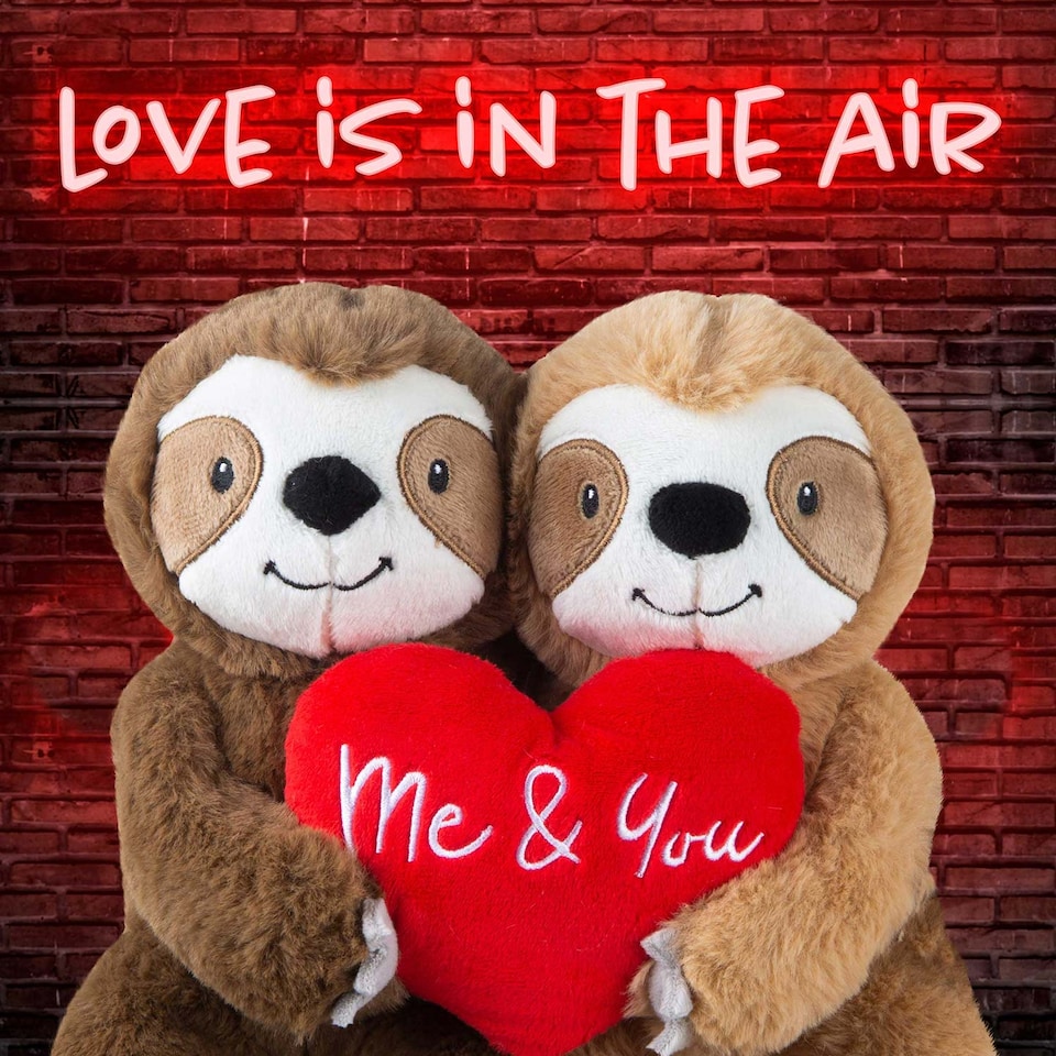 image 1 of PMS 20cm You and Me Sloth Couple Plush Toy - Valentines Soft Toy