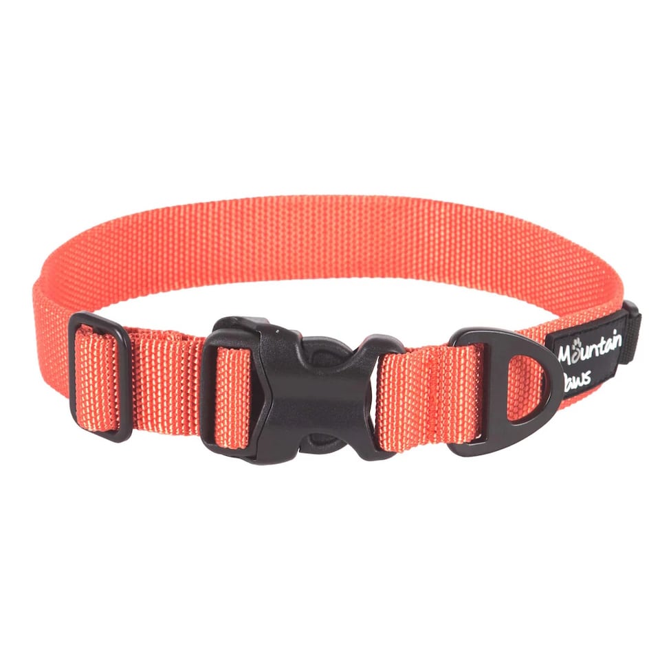 image 1 of Mountain Paws Extra Tough Orange Dog Collar | Orange | M
