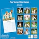 image 2 of Fox Terrier (Wire Haired) 2026 Calendar | Square Wall Calendar | Dog Breed Gift | Plastic Free Packaging | by Avonside Publishing