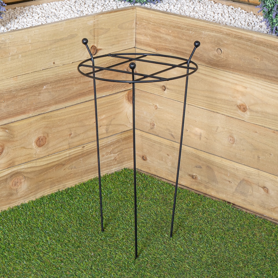 image 1 of Tom Chambers Heavy Duty Black Metal Steel Garden Plant Support Grow Through - 60cm x 35cm