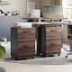 image 3 of Mobile Filing Cabinet with Printer Stand and 2 Drawers, Office Storage Unit, Natural Walnut and Ink Black