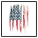 image 1 of American grunge flag (Picture Frame) Black | XL
