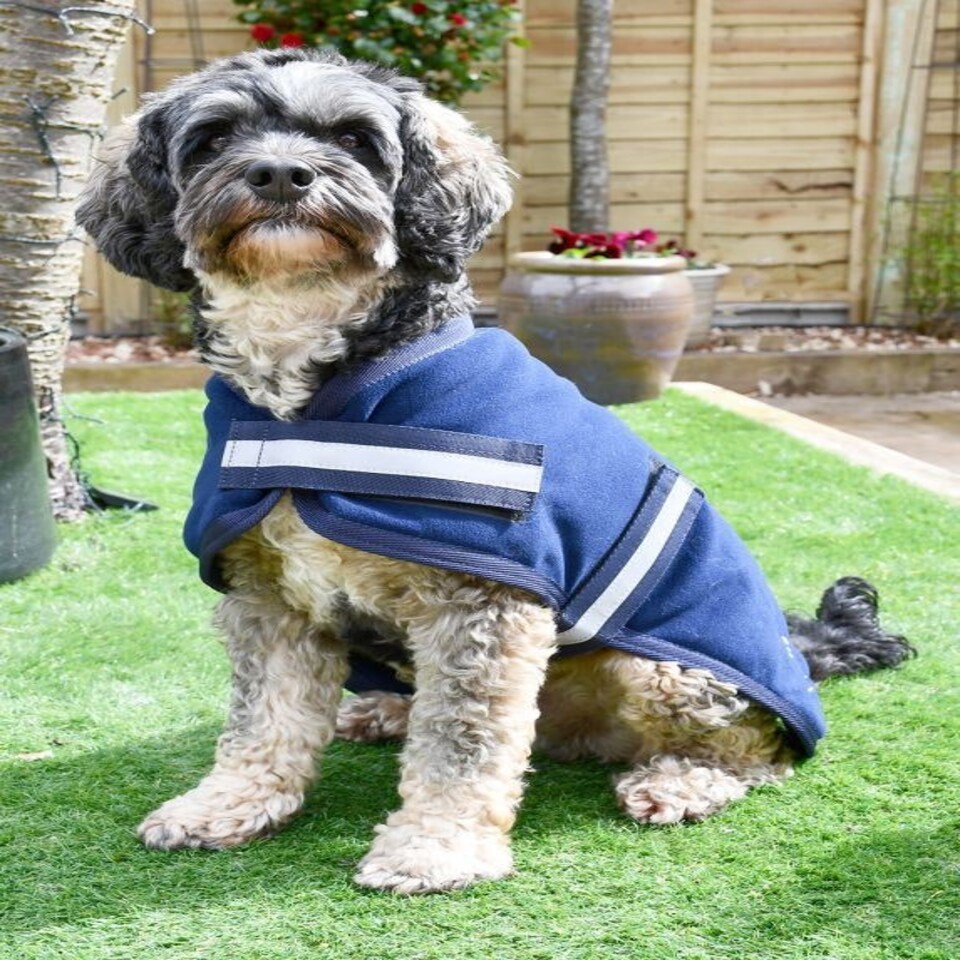 image 1 of Rhinegold Dog Fleece Blue | Navy XXXXL | XXL