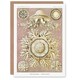 image 1 of Ernst Haeckel Art Card Jellyfish Discomedusae Vintage Illustration