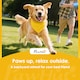 image 8 of PawHut Dog Tunnel 500cm , Foldable Play Tunnel with 6 Ground Pegs and Bag | Blue | Blue | 500 x 60 x 60 cm