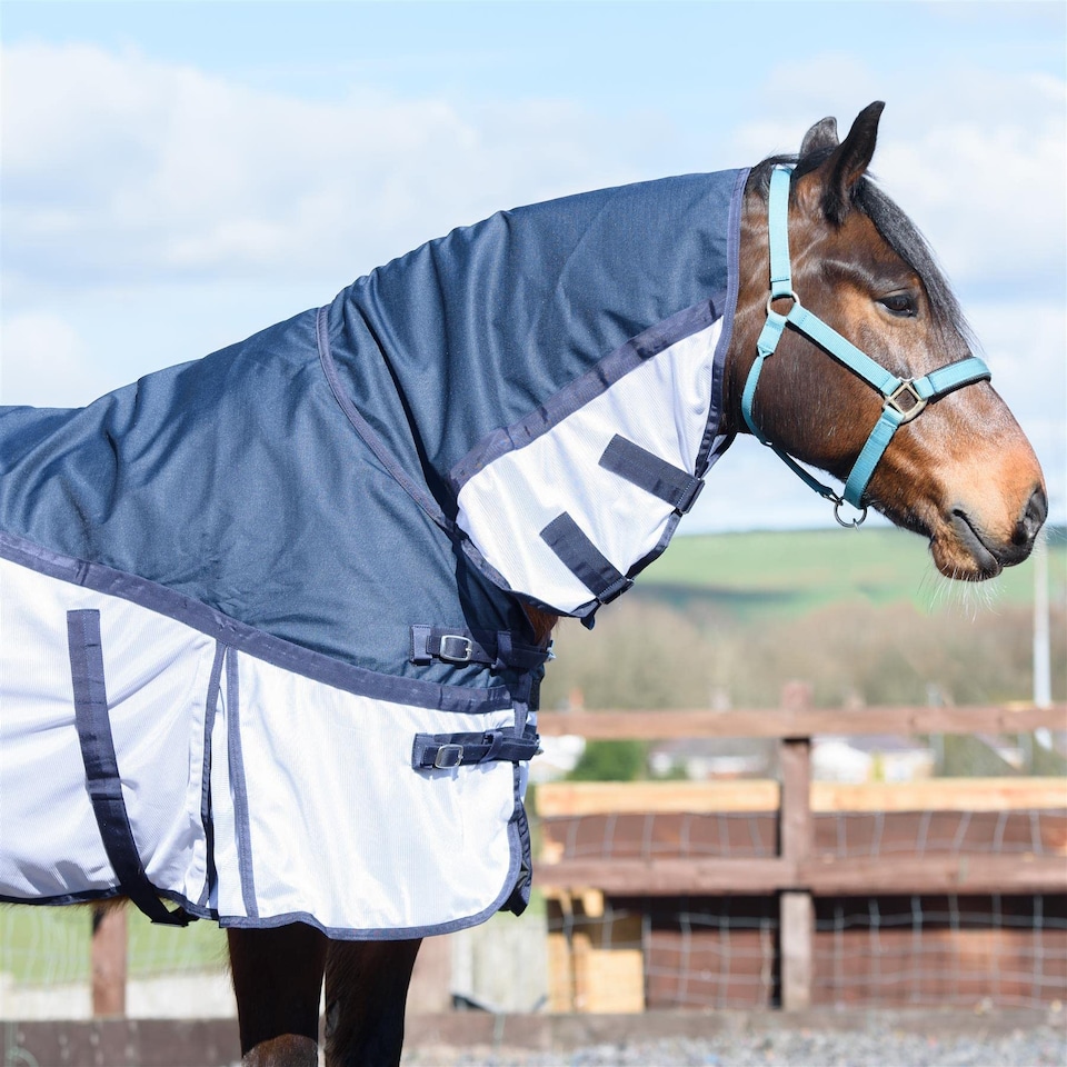 image 1 of eQuitack 600D 2 in 1 Waterproof Fly Turnout Mesh Horse Rug Fixed Neck Blue/White 6'0''