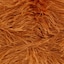 1876 Ginger | Brown, Orange