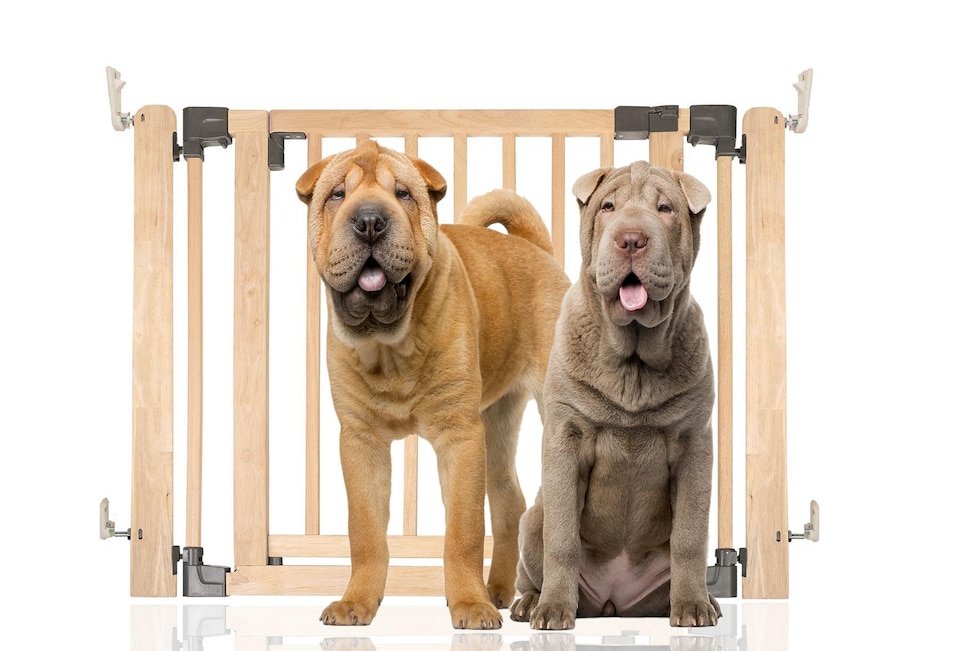 image 1 of Bettacare Wooden Multi Panel Flexible Pet Barrier, Natural Wood, up to 96cm Wide, Dog Barrier for Pets Dogs and Puppy | Cream | Natural