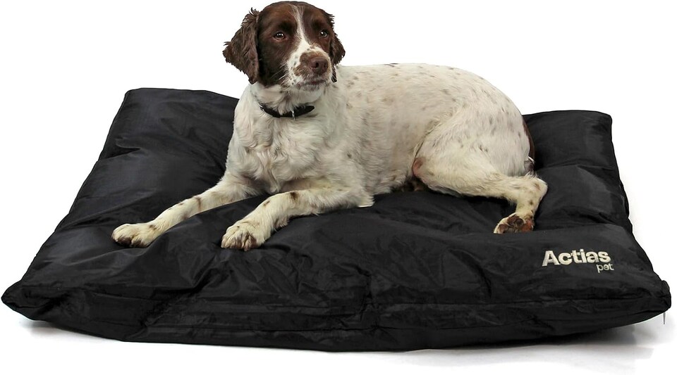 image 1 of Actiaspet - Large Waterproof Dog Bed (Black, Large)