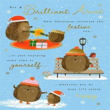 Festive Fun Hedgehog Design Brilliant Aunt Christmas Card