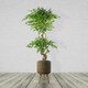 image 1 of Seagrass Style Composite Planter with Stand Brown