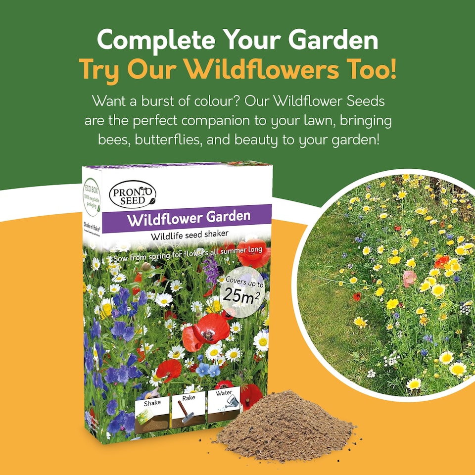 image 1 of Pronto Seed Grass Seed 2.8KG Premium Quality 168m2 Coverage for Overseeding, Fast Growing & Hard Wearing Lawn, Seed Defra Approved