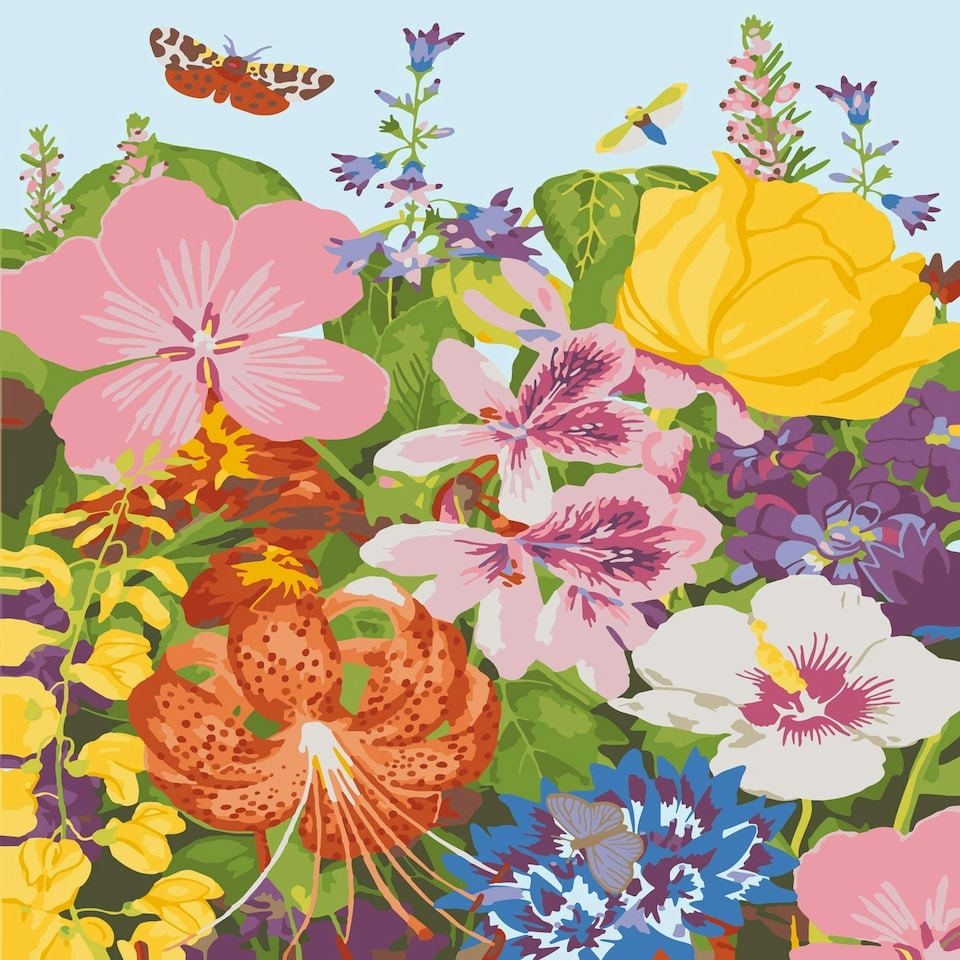 image 1 of RHS Paint By Numbers Hanging Kit With 24 Paints, 3 Brushes, 400 x 500 mm, Meadow